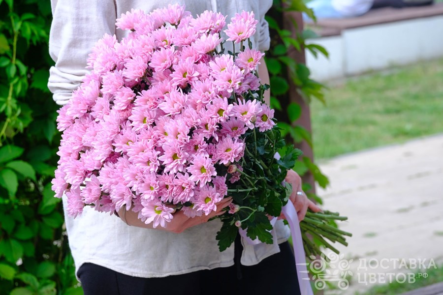 Букет Сиреневые кустовые хризантемы